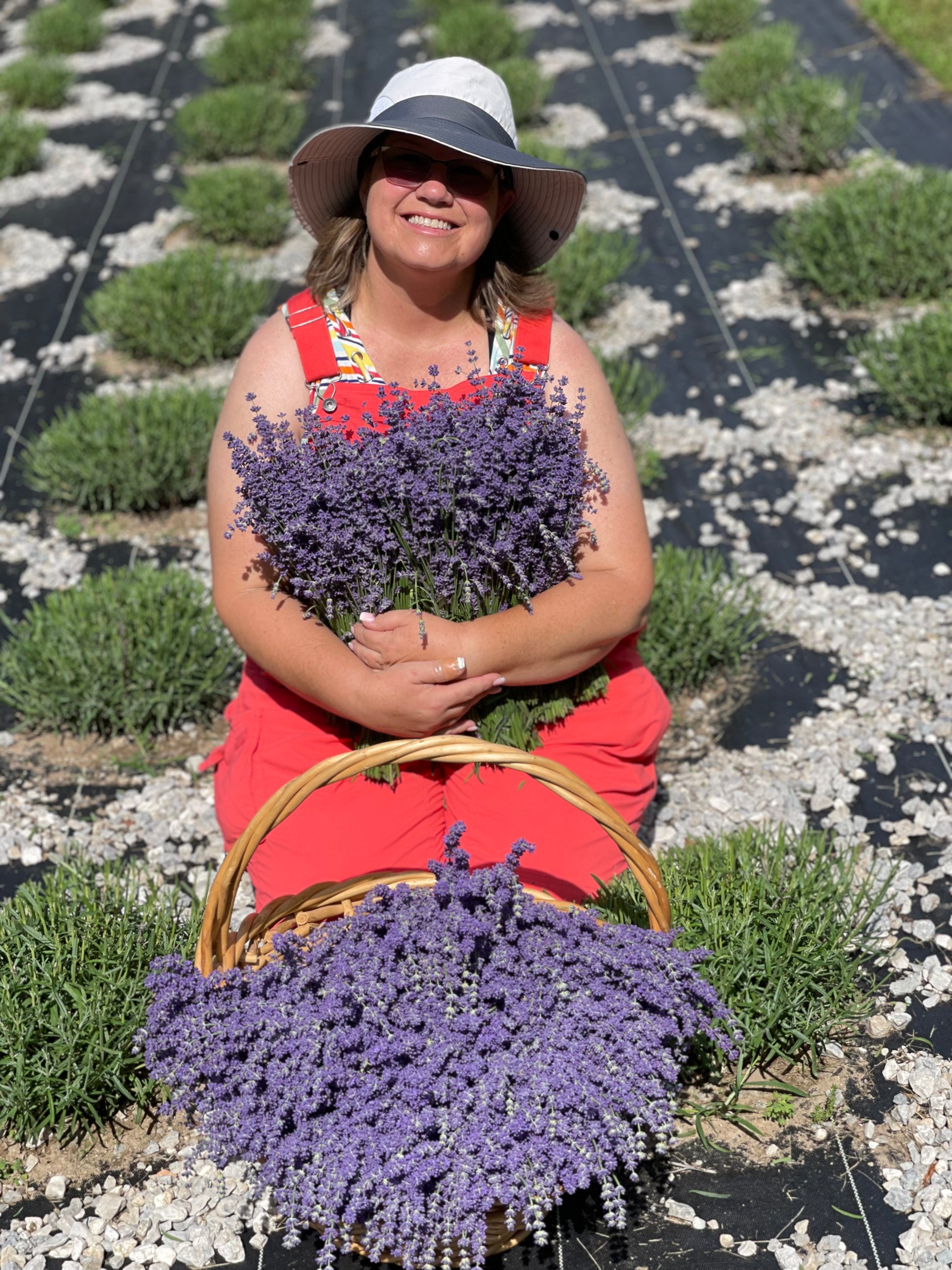 Lavender Farm Tour Experience