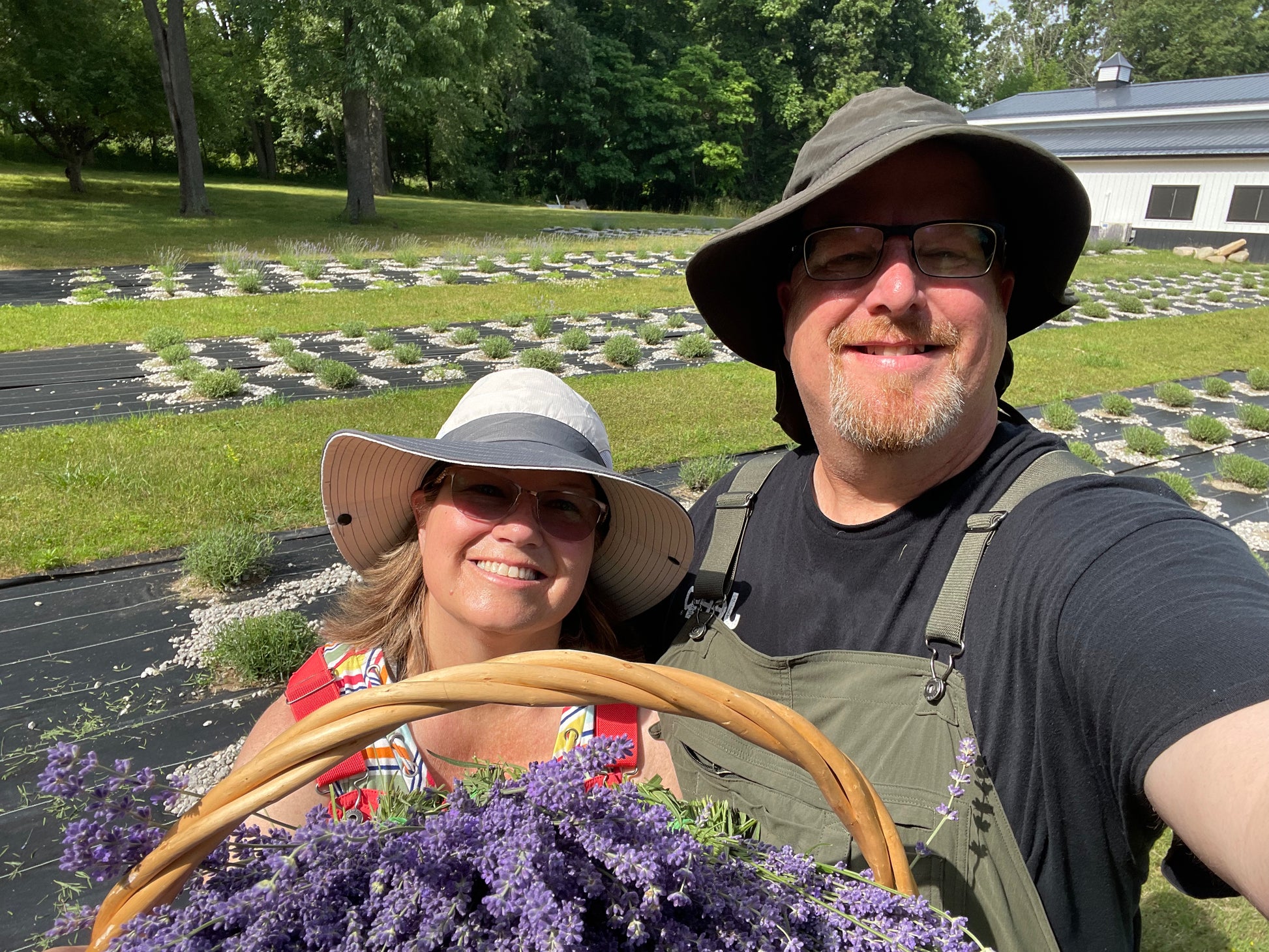 Lavender Farm Tour Experience