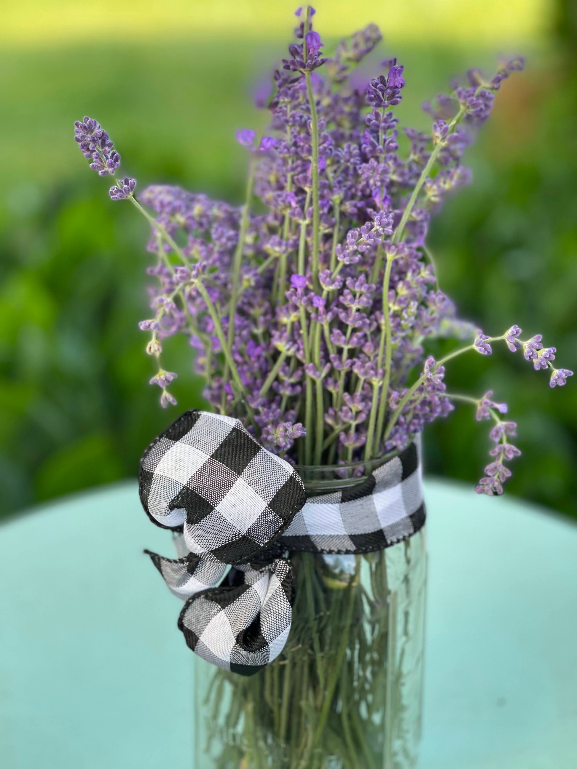 Lavender Farm Tour Experience