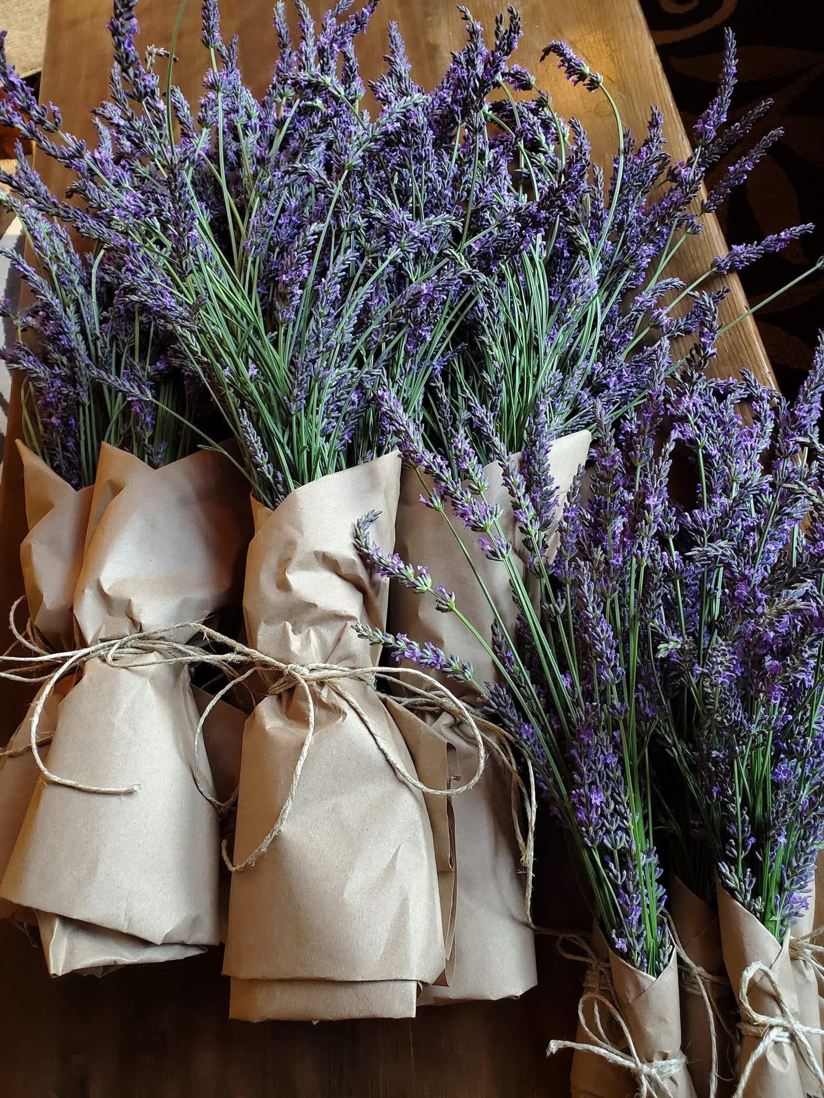dried-lavender-bundles
