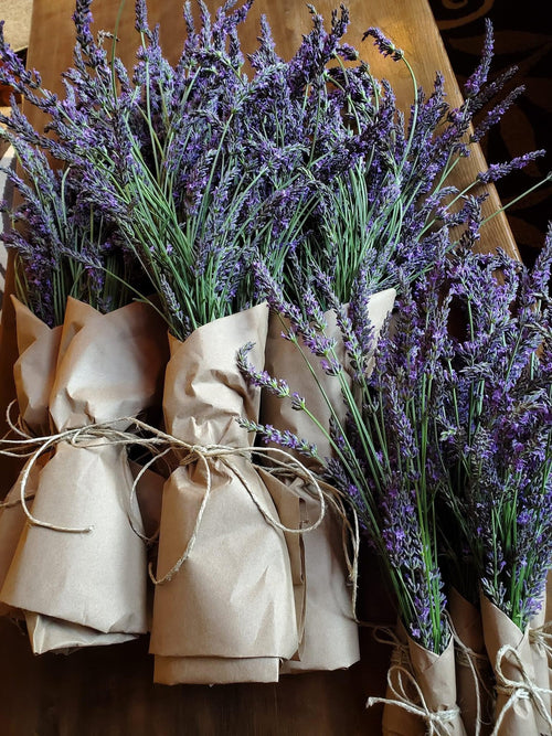 Dried Lavender Bundles