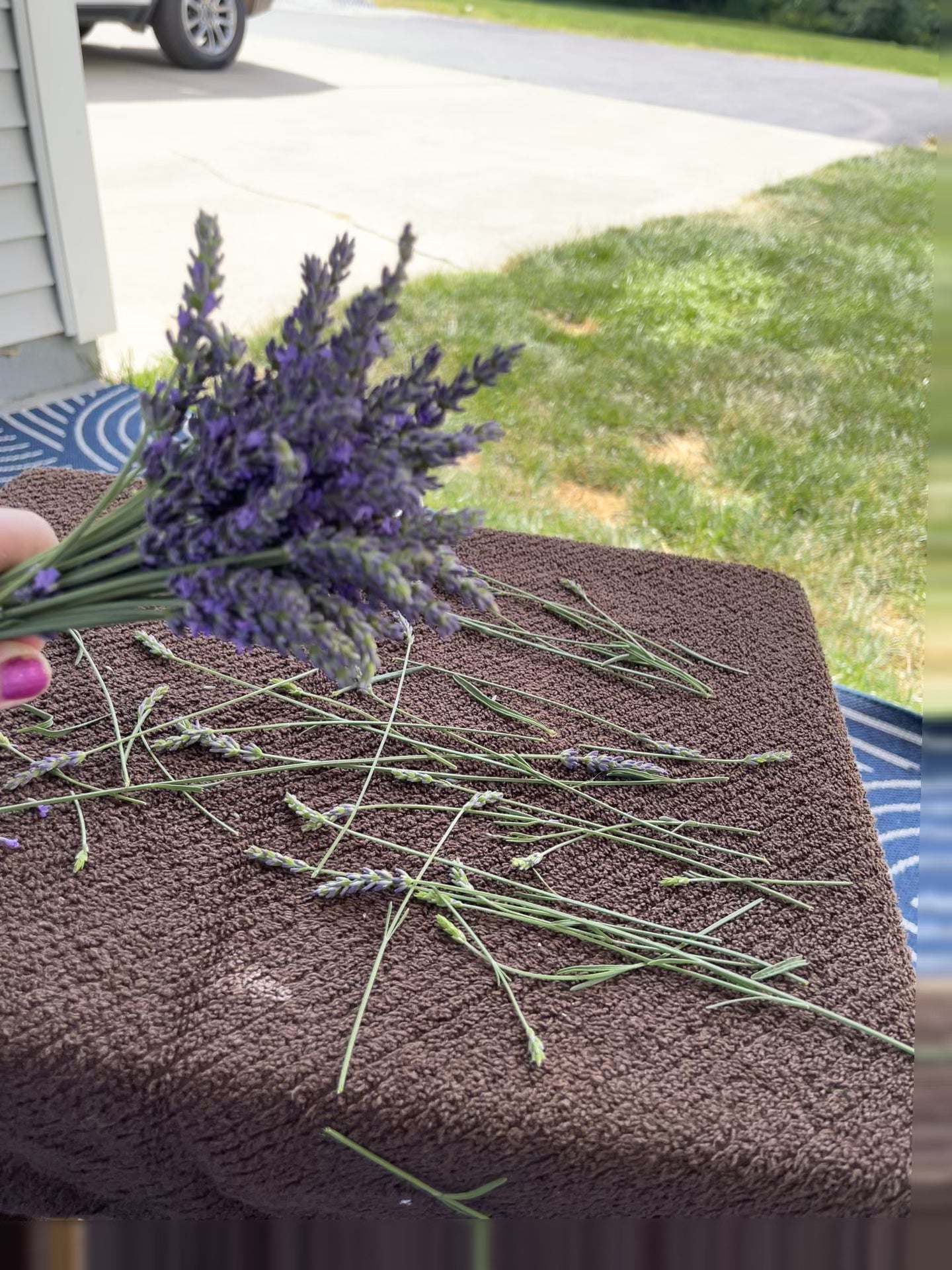 Lavender Wand Making Class